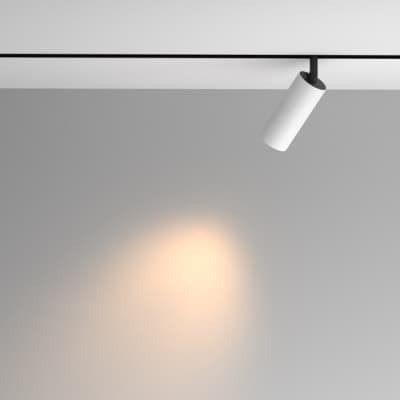Трековый светильник Maytoni Artisan TR097-2-12W3K-M-BW