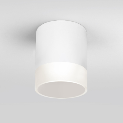 Потолочный светильник уличный Elektrostandard Light LED 35140/H белый