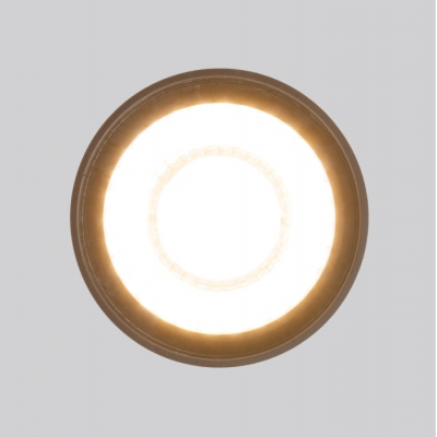 Потолочный светильник уличный Elektrostandard Light LED 35132/H черный