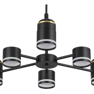 Потолочная люстра Lumion Virsava 8234/6C
