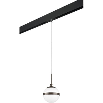 Трековый светильник Lightstar Globo PRO813117