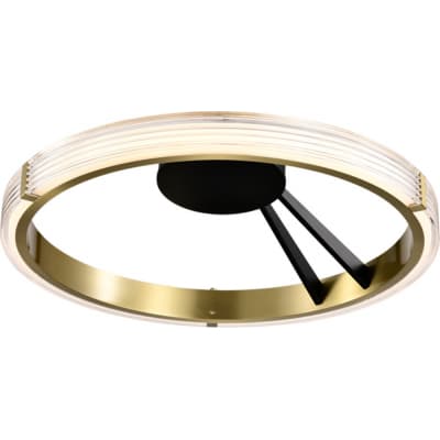 Потолочный светильник Lightstar Rotonda 736041