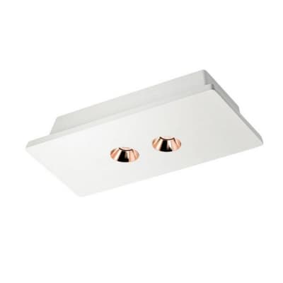 Точечный светильник Architect OL1072-WG/2 Loft It