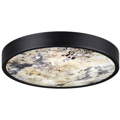 Настенно-потолочный светильник Odeon Light Bergi 5064/24L