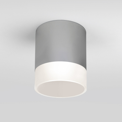 Потолочный светильник уличный Elektrostandard Light LED 35140/H серый