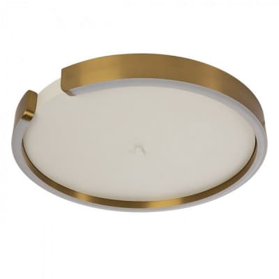 Потолочный светильник Ring 10026 Loft It