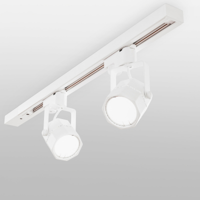 Трековый светильник Elektrostandard Robi MRL 1004