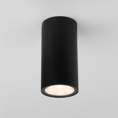 Потолочный светильник уличный Elektrostandard Light LED 35129/H черный