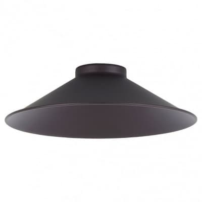 Плафон Citilux ЭДИСОН CL450.11