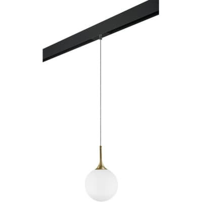 Трековый светильник Lightstar Globo PRO813022
