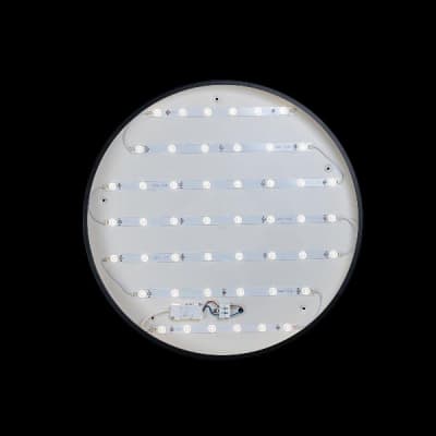Потолочный светильник Axel 10002/48 Black Loft It