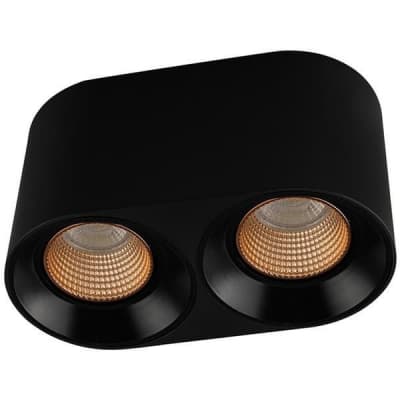 Накладной светильник Denkirs DK3040 DK3096-BK+BR