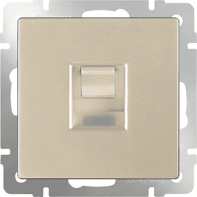 Розетка компьютерная Ethernet RJ45 Werkel WL11-RJ-45 шампань 4690389124532