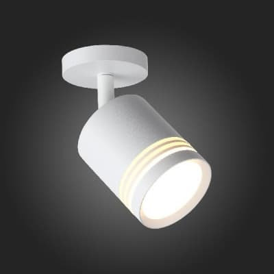 Спот Cerione ST101.512.05 ST Luce