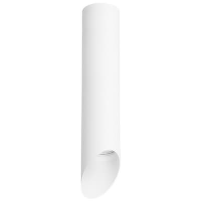 Потолочный светильник Lightstar Rullo R49636