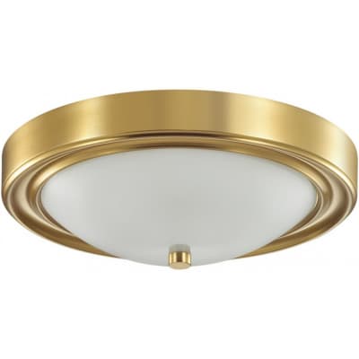 Потолочный светильник Lumion Nina 5259/2C