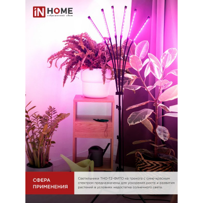 Светильник напольный на треноге светодиодный IN HOME ТНО-Т2-ФИТО красно-синий 6Т60 60Вт 6 плафонов, пульт на шнуре 4690612053578