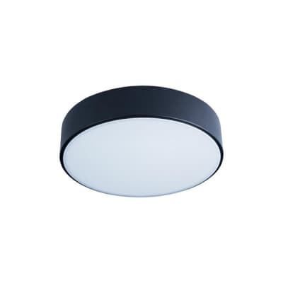 Потолочный светильник Axel 10002/12 Black Loft It