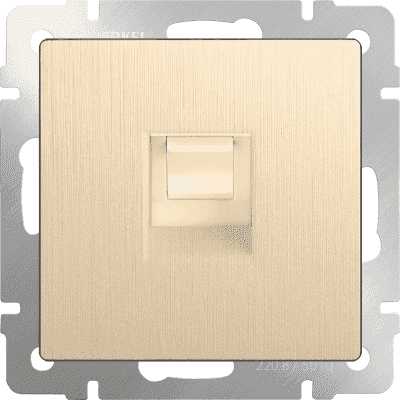 Розетка компьютерная Ethernet RJ45 Werkel WL10-RJ-45 шампань рифленый 4690389085239