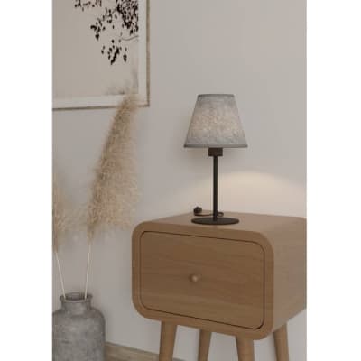Интерьерная настольная лампа Eglo Alsager 43986