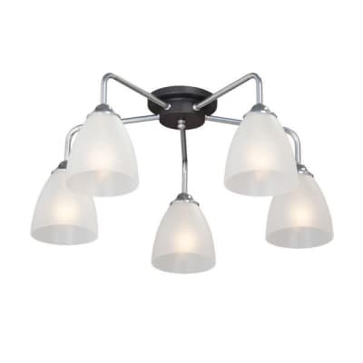 Потолочная люстра  V4500-9/5PL Vitaluce