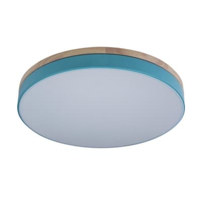 Потолочный светильник Axel 10001/36 Blue Loft It