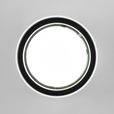 Потолочный светильник уличный Elektrostandard Light 35144/H