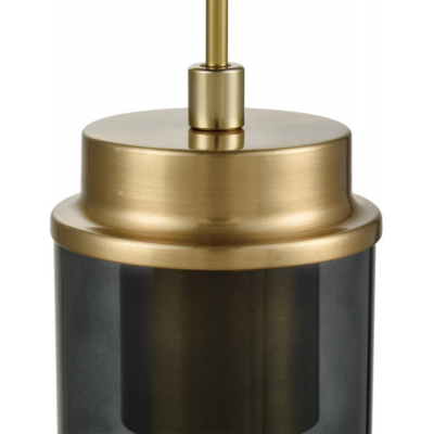 Подвесной светильник Lumion Isha 8101/1A