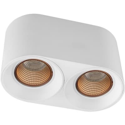Накладной светильник Denkirs DK3040 DK3096-WH+BR