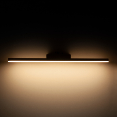 Подсветка для картин Elektrostandard Protect MRL LED 1111