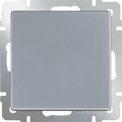 Заглушка Werkel WL06-70-11 серебряный 4690389097454