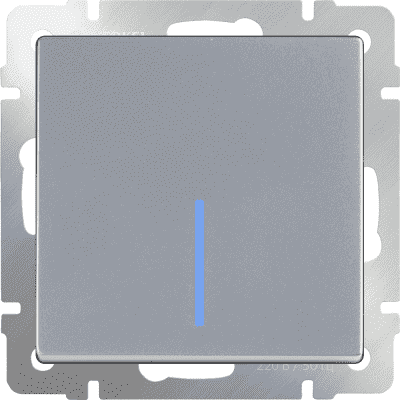 Выключатель одноклавишный с подсветкой Werkel WL06-SW-1G-LED серебряный 4690389053856