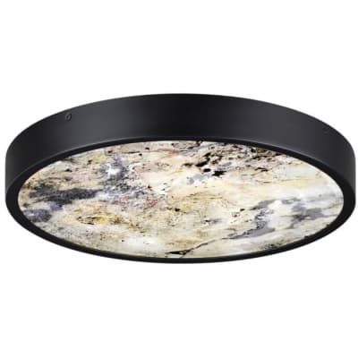 Настенно-потолочный светильник Odeon Light Bergi 5064/30L