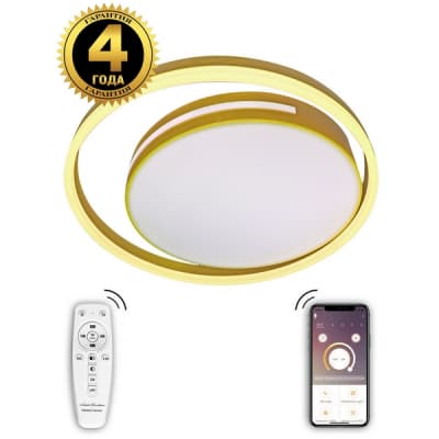 Потолочный светильник LED LAMPS LED LAMPS 81304 Natali Kovaltseva
