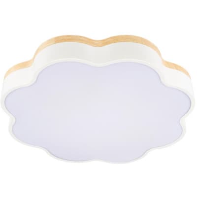 Потолочный светильник Loft It Axel 10225/36 White