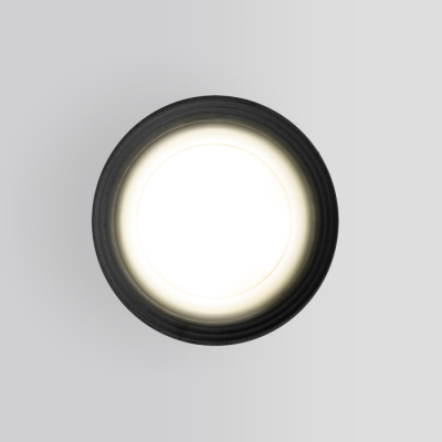 Потолочный светильник уличный Elektrostandard Light 35128/H серый