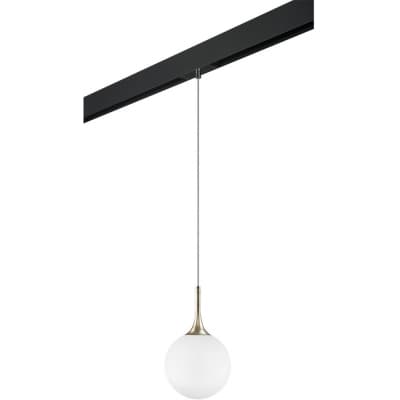 Трековый светильник Lightstar Globo PRO813023