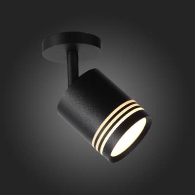 Спот Cerione ST101.412.05 ST Luce