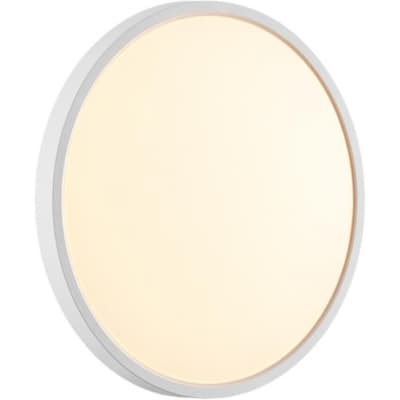 Настенно-потолочный светильник Sonex Alfa White 7659/24L