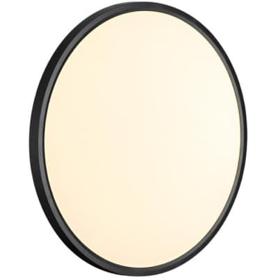 Настенно-потолочный светильник Sonex Alfa Black 7660/40L