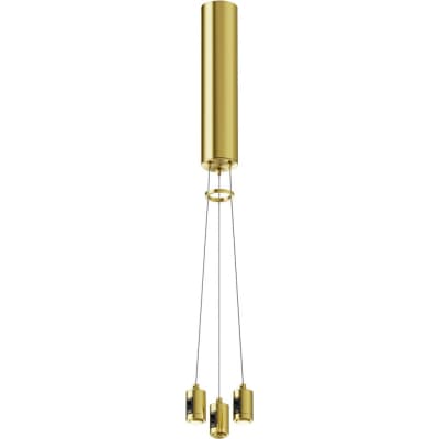 Подвесной набор Maytoni Accessories for tracks Flarity TRA154SW-BB-R-BS