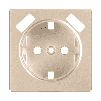 Накладка для розетки USB Werkel WL11-USB-CP шампань 4690389124693