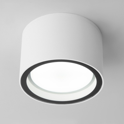 Потолочный светильник уличный Elektrostandard Light 35144/H