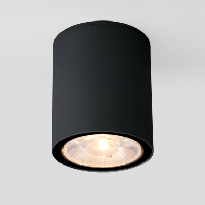 Потолочный светильник уличный Elektrostandard Light LED 35131/H черный