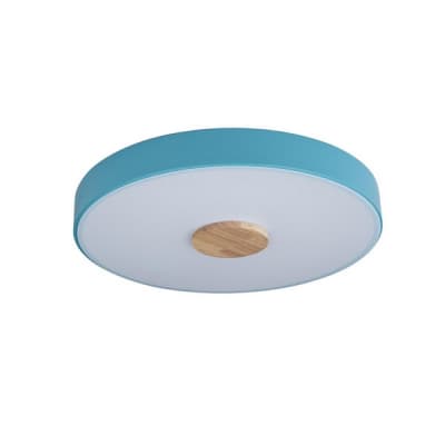 Потолочный светильник Axel 10003/24 Blue Loft It