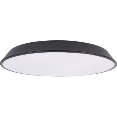 Потолочный светильник Loft It Brim 10226 Black
