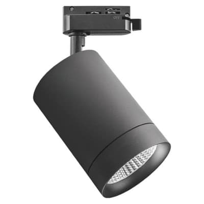 Трековый светильник Lightstar CANNO 303272