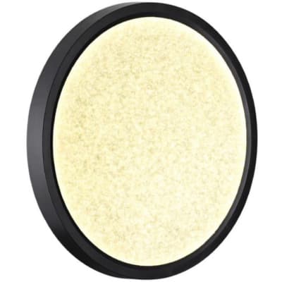 Настенно-потолочный светильник Sonex Omega Black 7662/18L