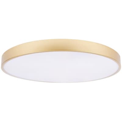 Потолочный светильник Loft It Flims 10228/B