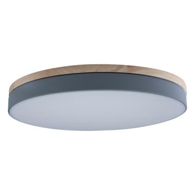 Потолочный светильник Axel 10001/36 Grey Loft It